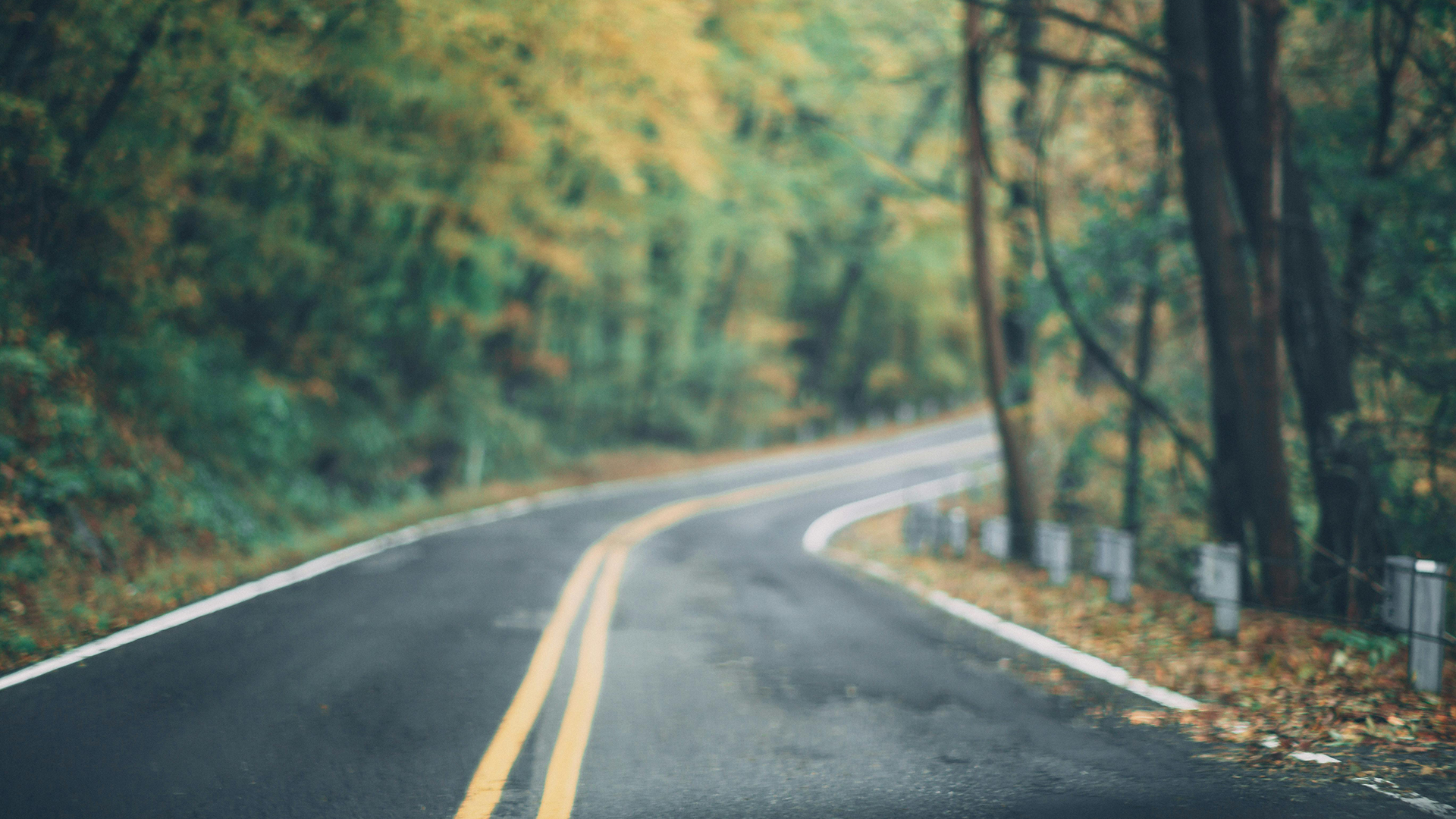 Staying in Your Lane: The Value of Expertise vs. Lived Experience as Consultants