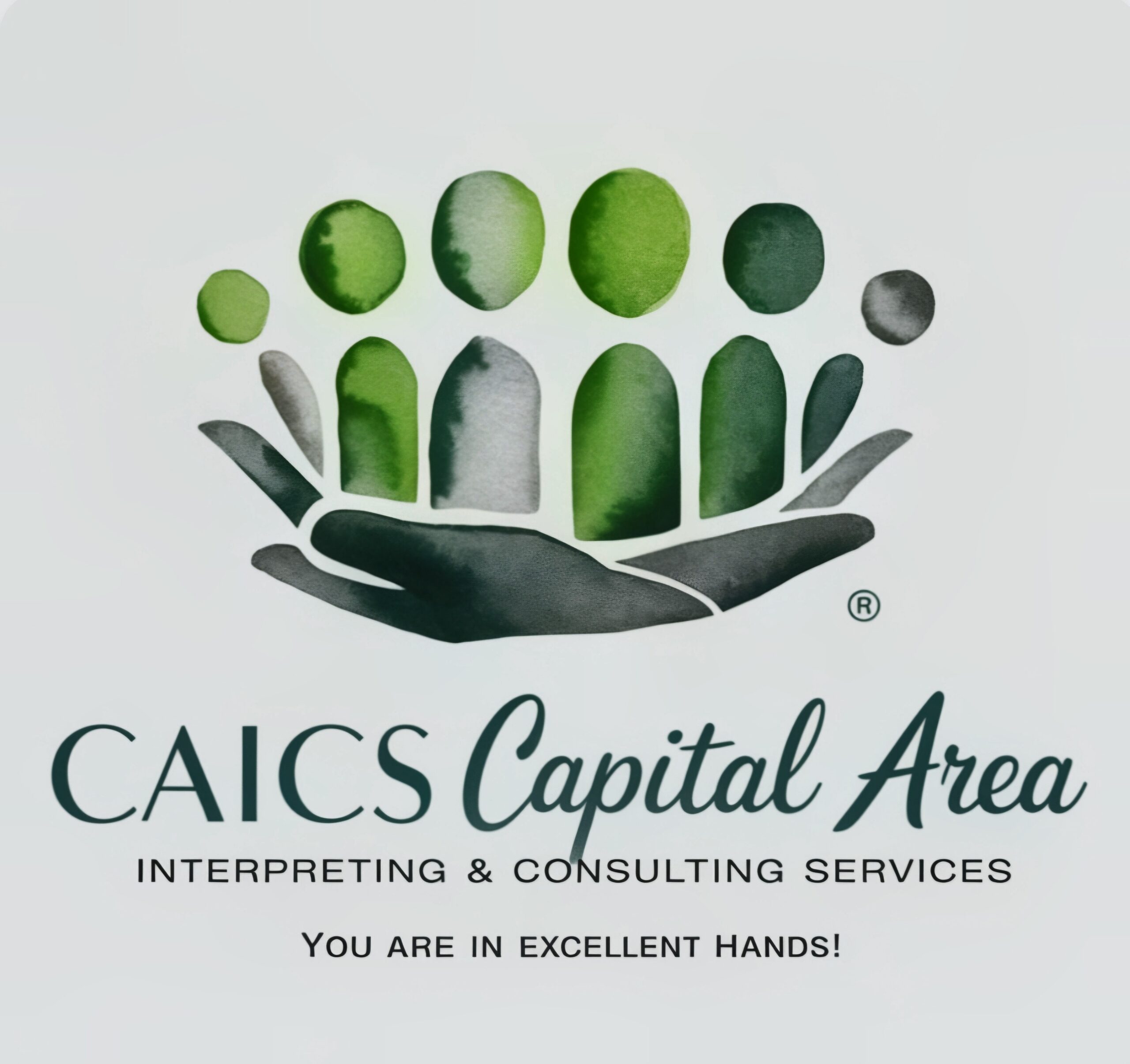 CAICS Capital Area logo
